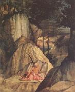 Lorenzo Lotto Jerome in the Desert (mk05) oil painting picture wholesale